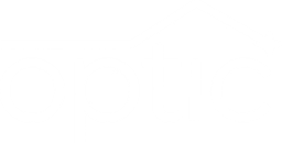 Optic Lighting